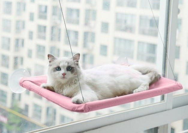 Cat Window Hammock – Sturdy Cat Perch for Window with Strong Suction Cups, Perfect Cat Bed for Window Sunbathing