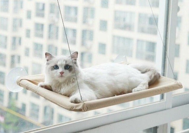 Cat Window Hammock – Sturdy Cat Perch for Window with Strong Suction Cups, Perfect Cat Bed for Window Sunbathing