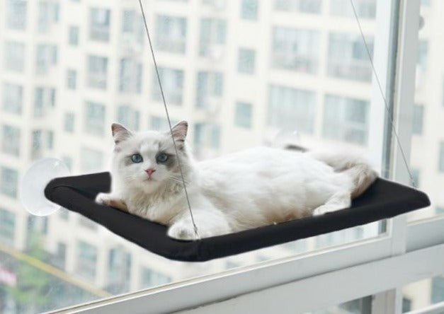 Cat Window Hammock – Sturdy Cat Perch for Window with Strong Suction Cups, Perfect Cat Bed for Window Sunbathing